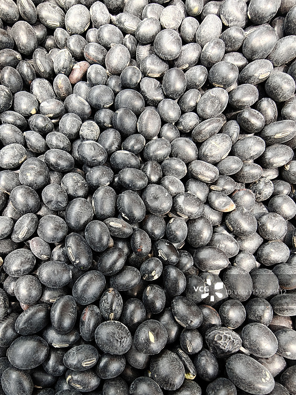 五谷杂粮-黑豆图片素材