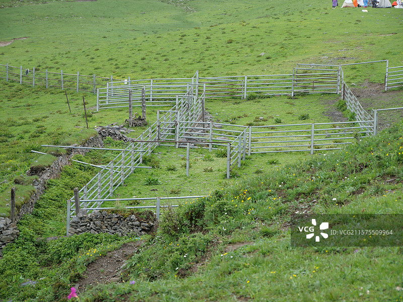 理县米亚罗二古溪山顶草原牧场的牛圈图片素材