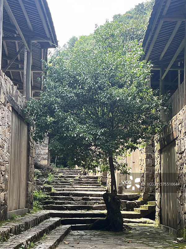 三明尤溪侠天下旅游景区图片素材