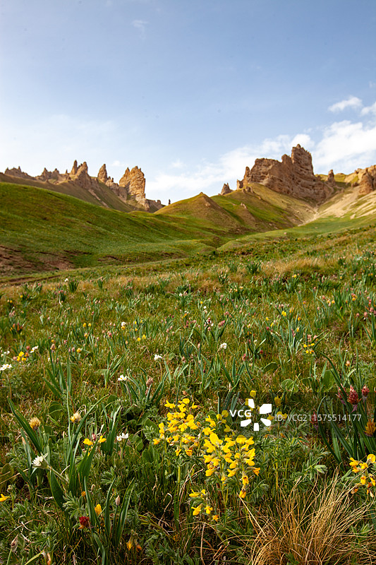 新疆和静县天山石林图片素材