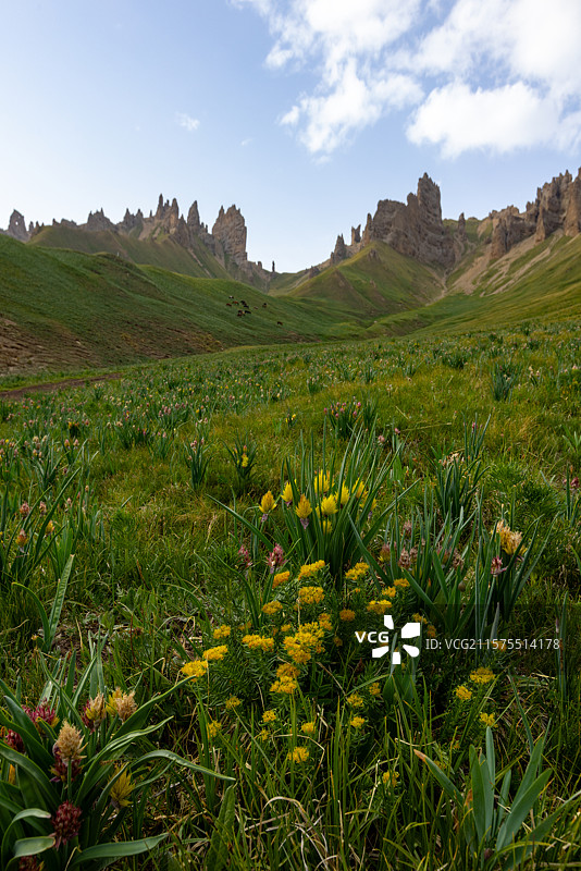 新疆和静县天山石林图片素材