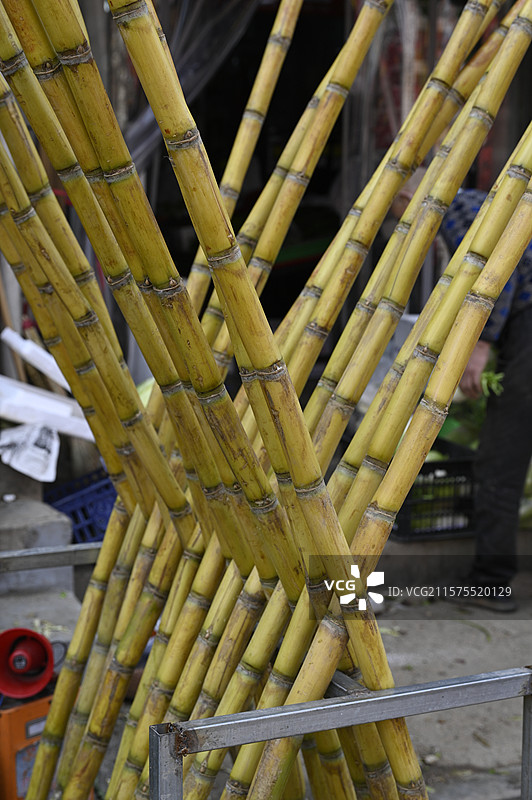 甘蔗 特写图片素材