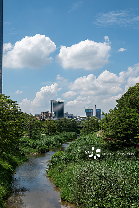 广东省深圳市南山区大沙河生态长廊绿道：蓝天白云下的河流和城市天际线图片素材