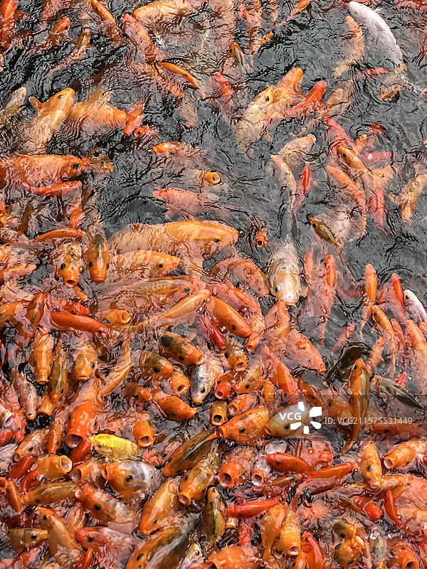 三明尤溪朱子文化园景区图片素材