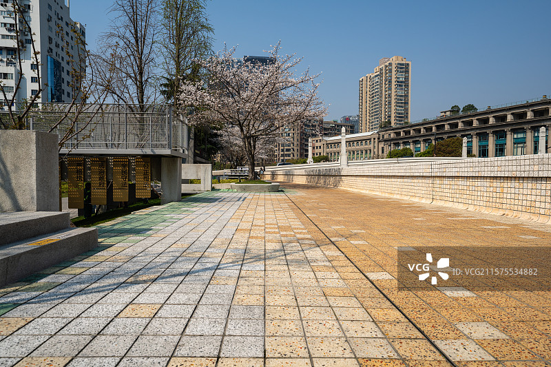 苏州河边的樱花小道图片素材
