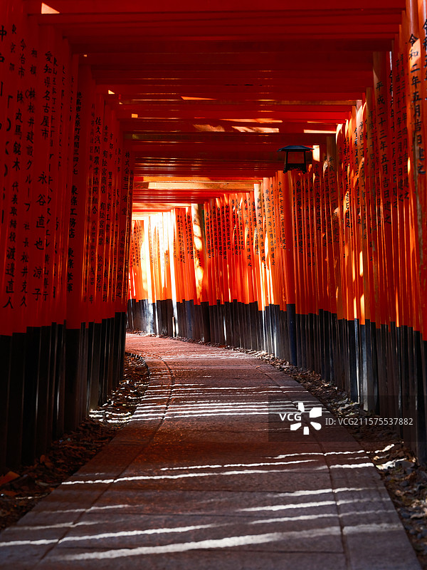 日本伏见稻荷大社鸟居图片素材