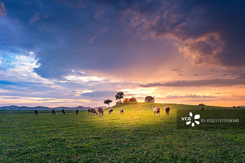 风雨过后见彩虹图片素材