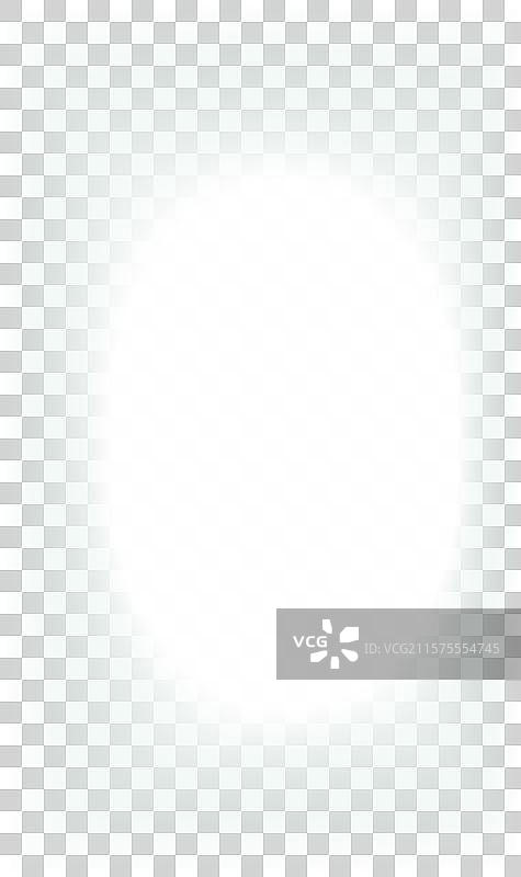 针叶树，自然的常青树图片素材