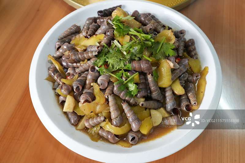 一盘钉螺图片素材