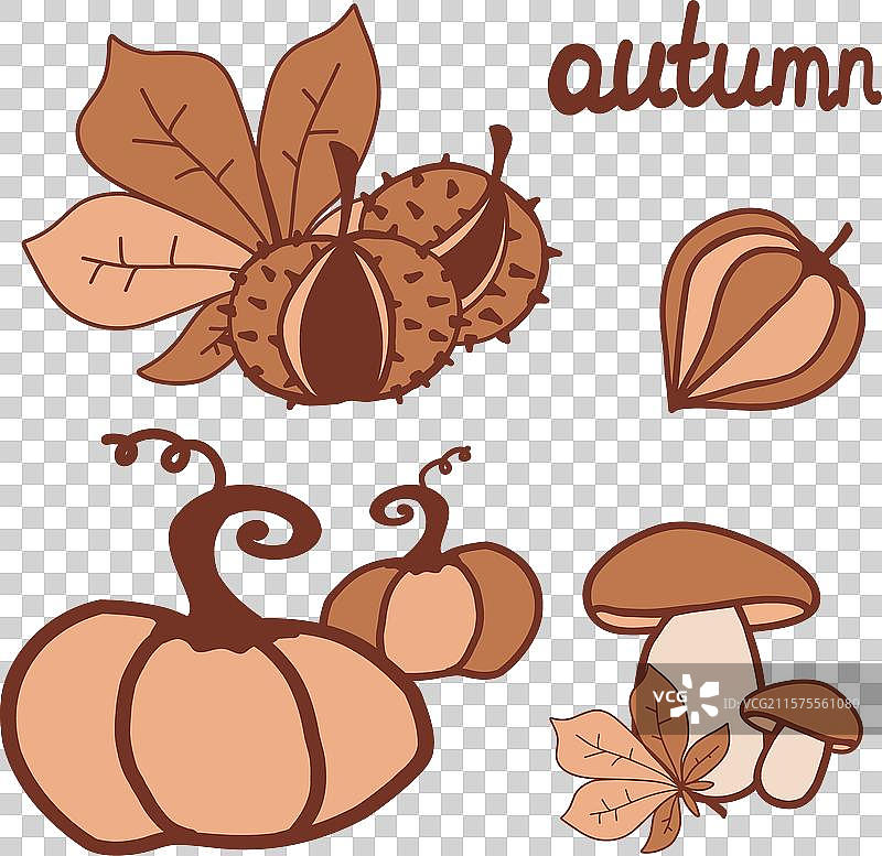 秋季主题图形，包含南瓜和树叶图片素材