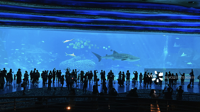 海洋馆图片素材