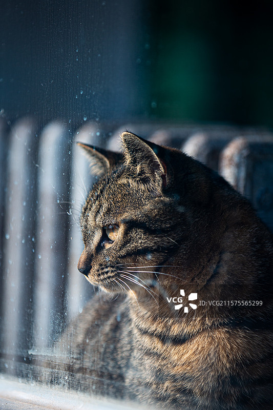 秦皇岛野生动物园图片素材