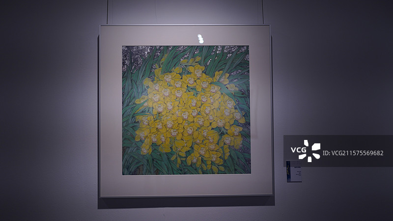 深圳关山月美术馆静谧角落 光影艺术 现代画作 多幅画作展示 自然主题画作  书法作品图片素材