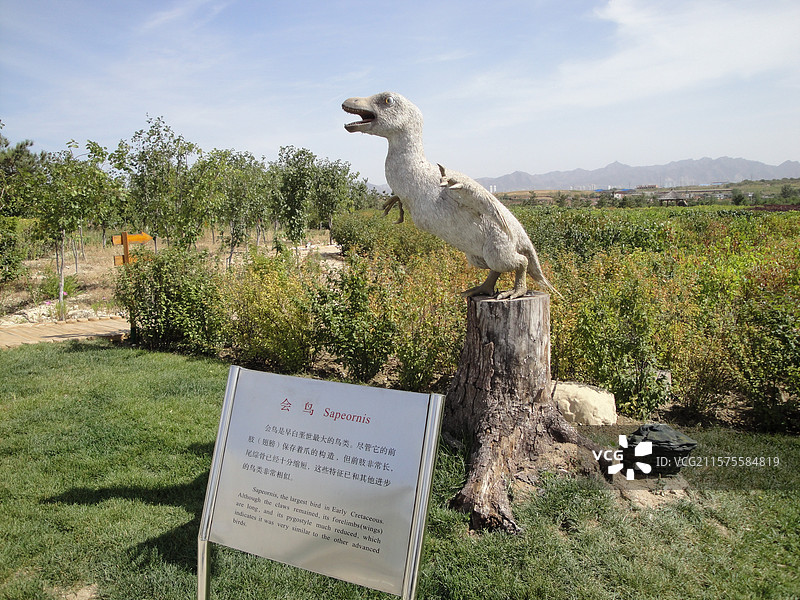 朝阳低质公园旧照图片素材