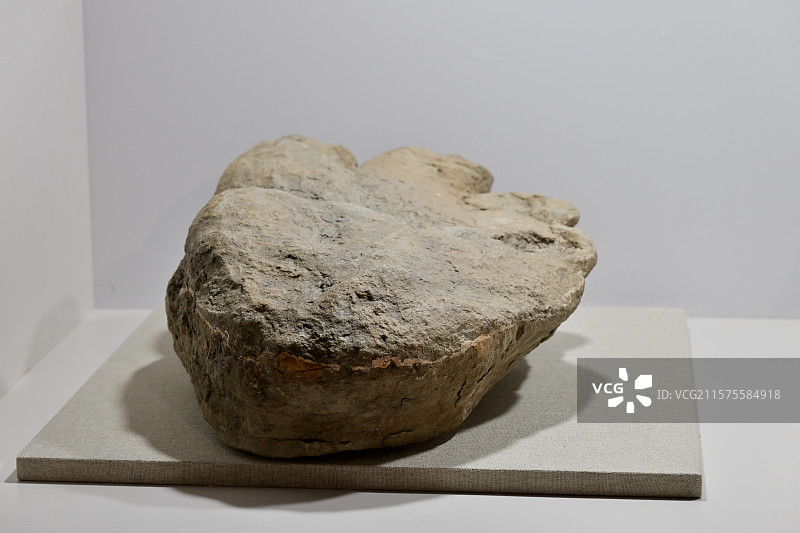 蜥脚类足迹化石，内蒙古，白垩纪，恐龙化石标本，龙吟九州·中国恐龙大展，上海自然博物馆 拍摄时间图片素材