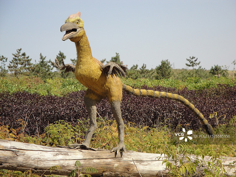 朝阳低质公园旧照图片素材