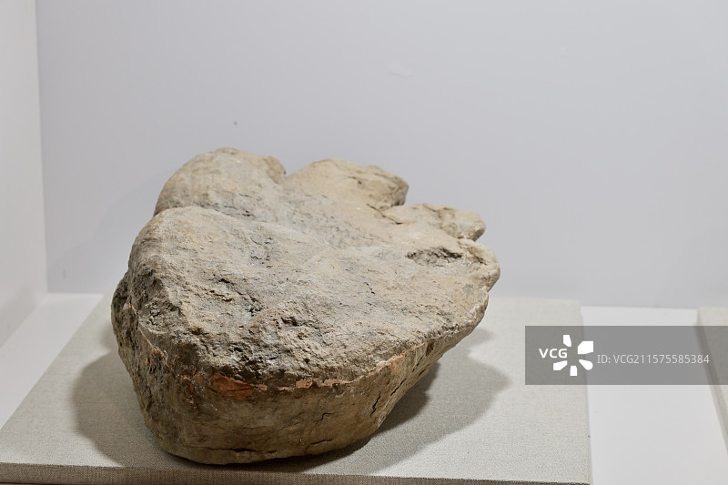 蜥脚类足迹化石，内蒙古，白垩纪，恐龙化石标本，龙吟九州·中国恐龙大展，上海自然博物馆 拍摄时间图片素材