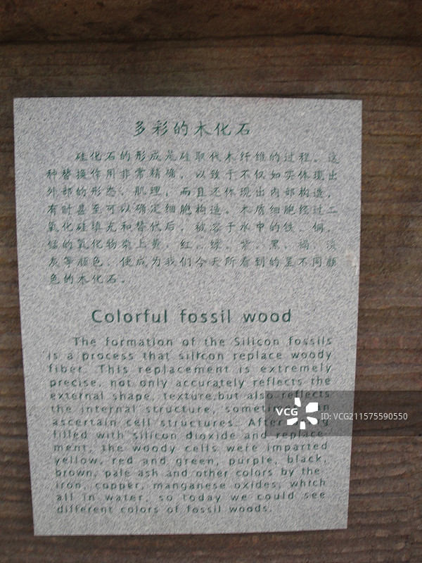 朝阳低质公园旧照图片素材