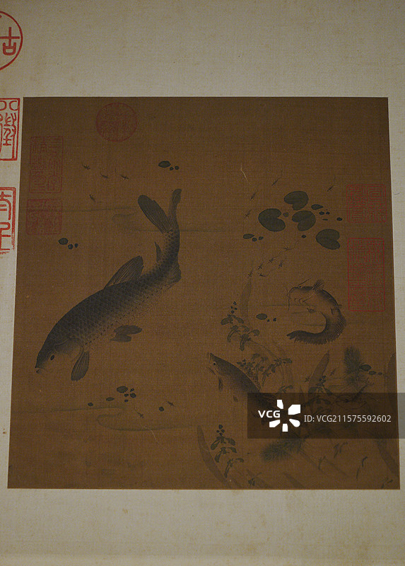 春溪水族图页特写，宋代陈可久，故宫文华殿万物和生画展图片素材