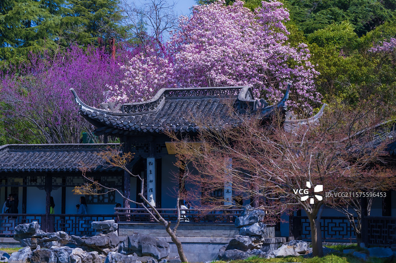 瘦西湖风景-扬州图片素材
