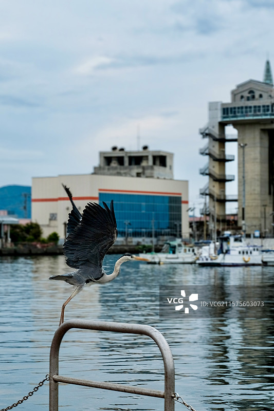 日本静冈县的沼津市和沼津港图片素材