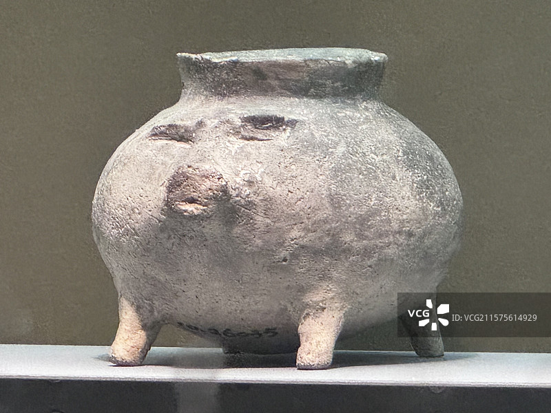 南京博物院猪图片素材