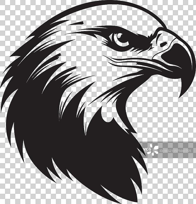 雄伟的猎鹰标志图案 aerial图片素材