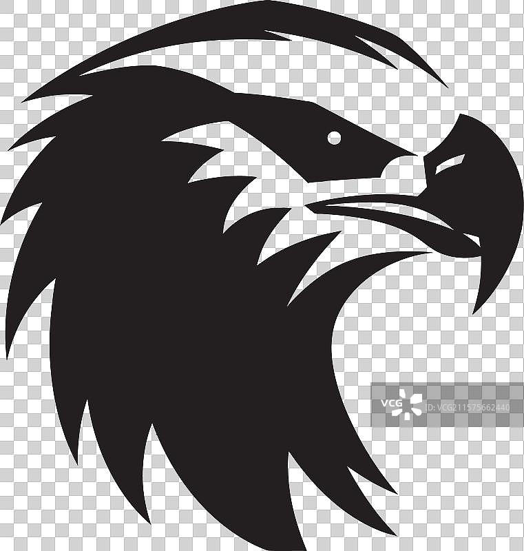 飞翔的优雅黑鹰图腾羽毛图片素材