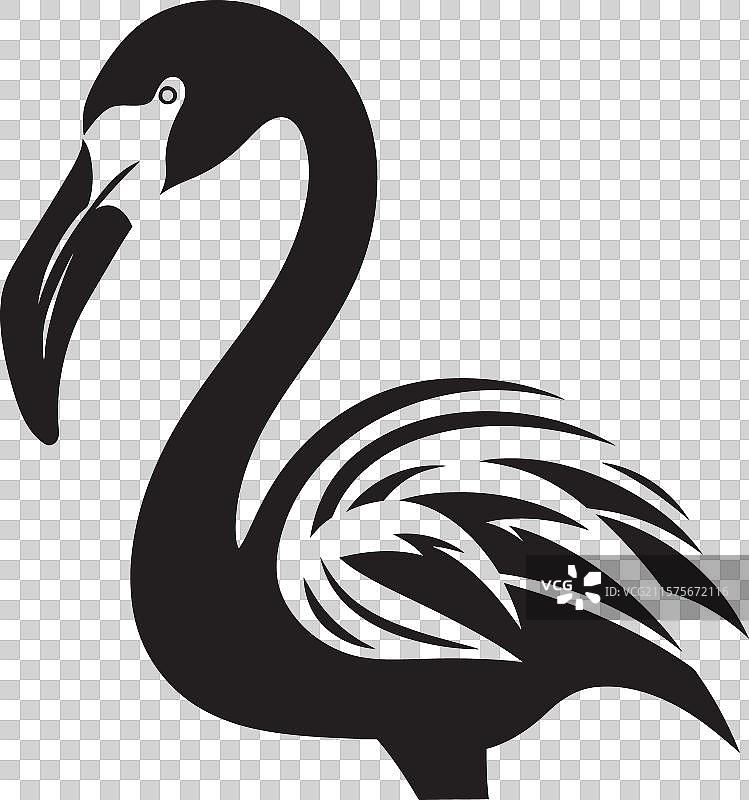 优雅的火烈鸟标志，展现出光辉的鸟类之美图片素材