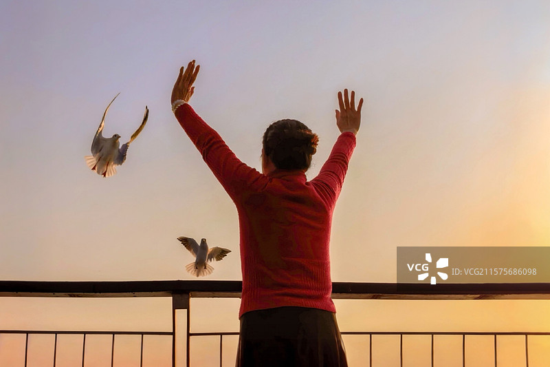 日出时无锡蠡湖边晨练的女士张开双臂和天空飞来的红嘴鸥打招呼图片素材