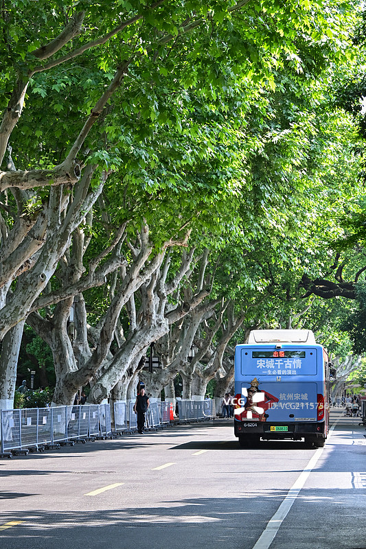 西湖孤山路图片素材