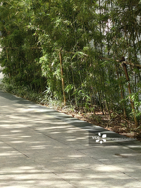 校园一角图片素材