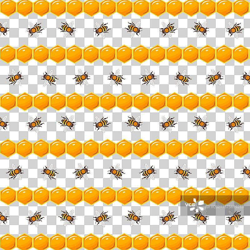 黑色背景上的蜂窝和蜜蜂图片素材