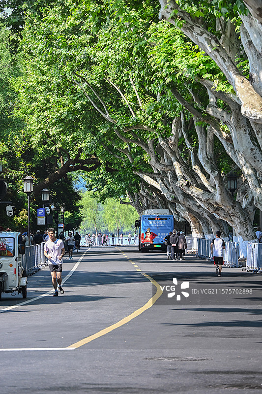 西湖孤山路图片素材