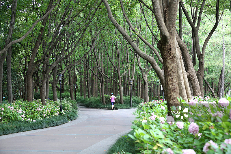 上海黄兴公园图片素材