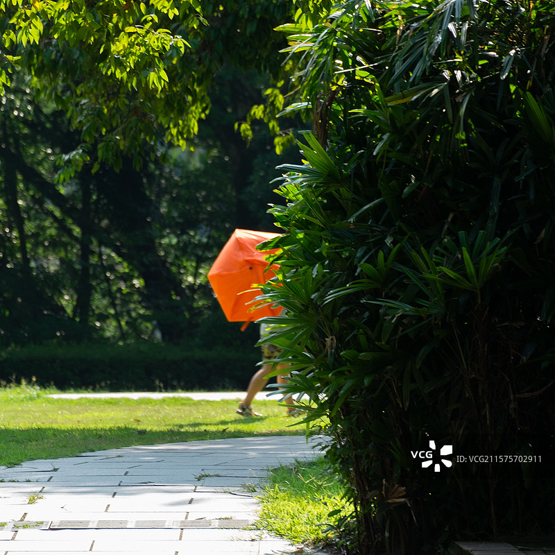 公园里拿橙色伞经过的人图片素材