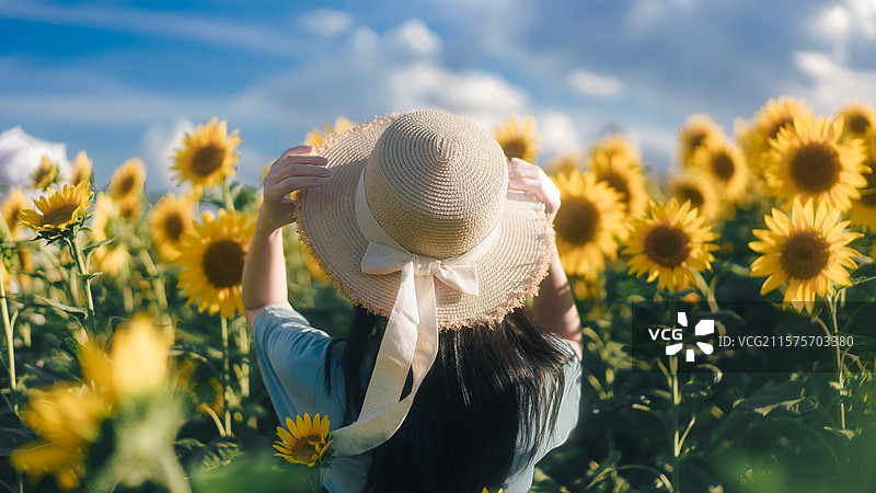 向日葵花海中一位戴着渔夫帽的女生看向远方图片素材