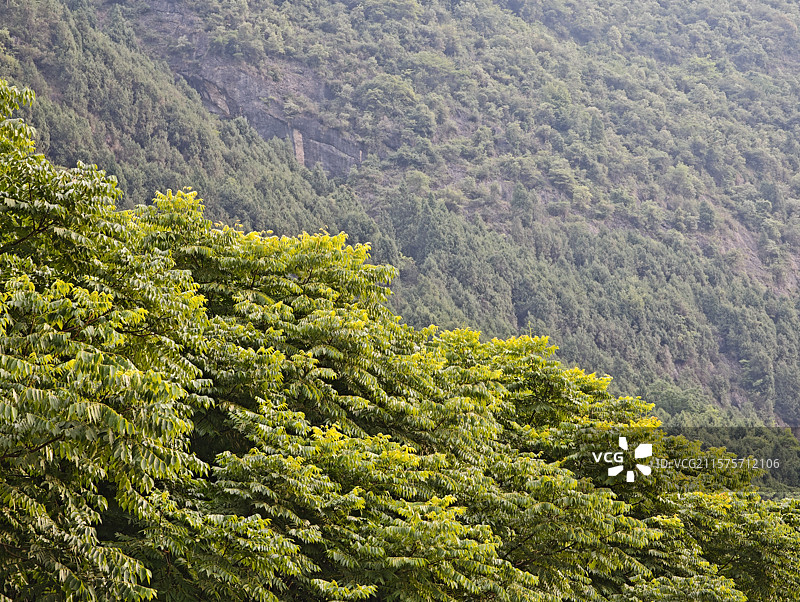 四川绵阳北川羌族自治县山区山林图片素材