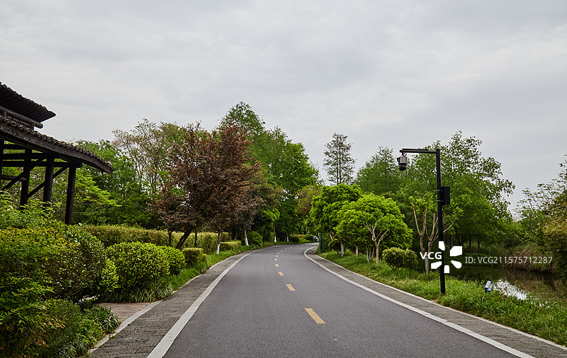 杭州西溪国家湿地公园初夏风光与道路图片素材