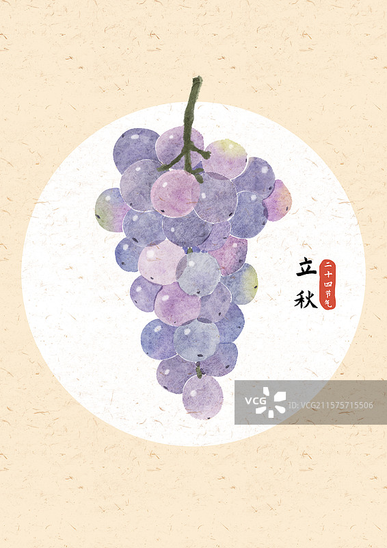 立秋葡萄国风插画图片素材