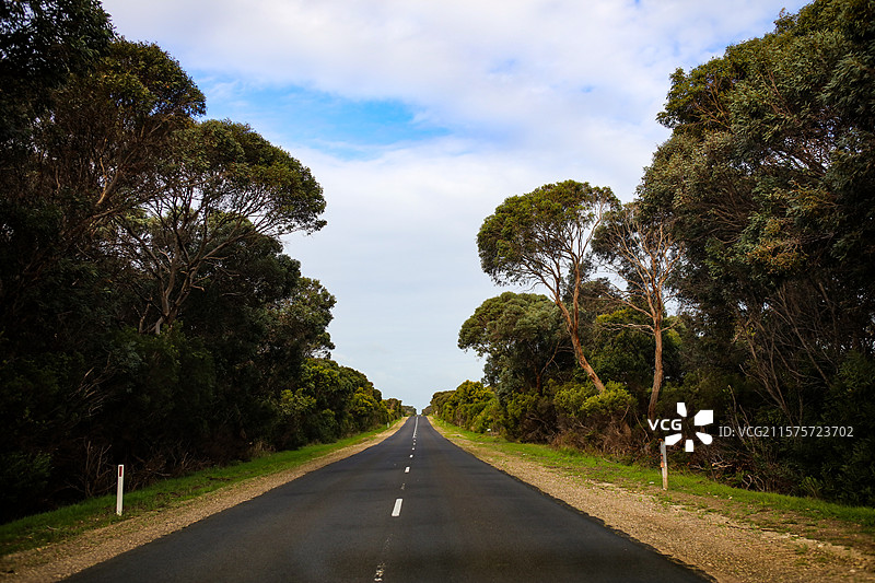 澳大利亚维多利亚洲公路景观图片素材