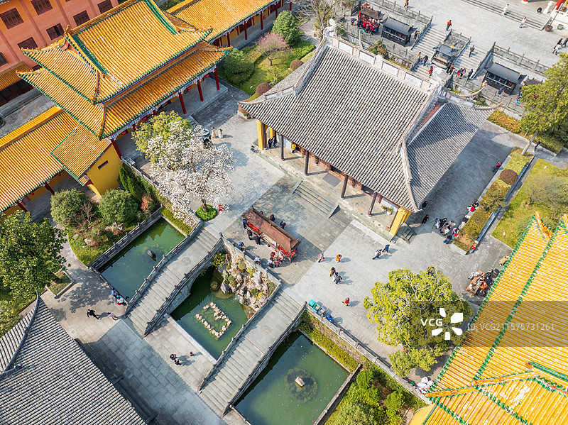 俯观古刹玉兰悠图片素材