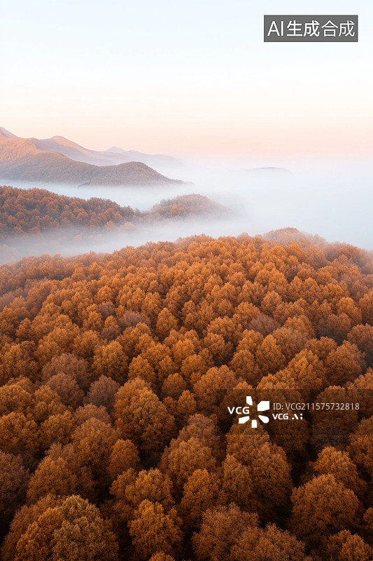 【AI数字艺术】清晨森林中的云雾风光图片素材