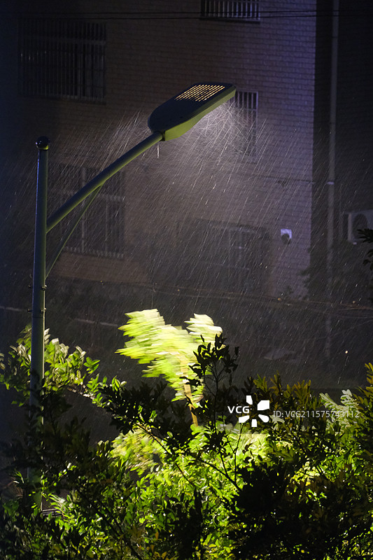 初夏暴风骤雨街灯依旧完好工作照射出雨丝图片素材