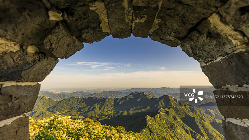 北京延庆夏至暴马丁香盛放香漫长城之巅图片素材