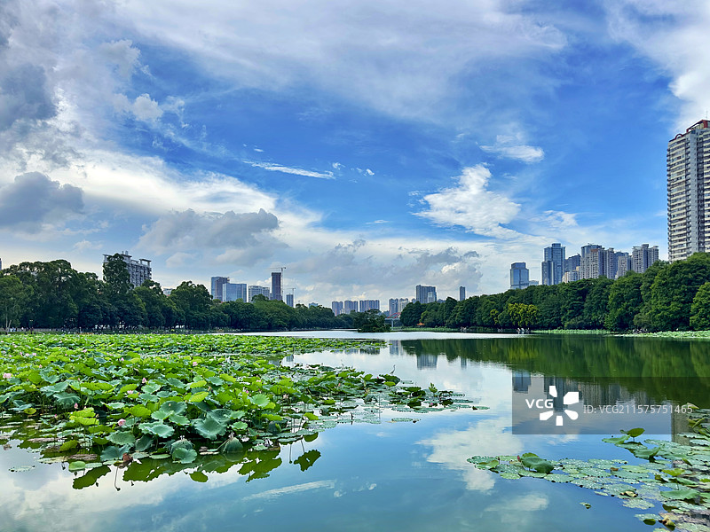 生态城市-深圳罗湖图片素材