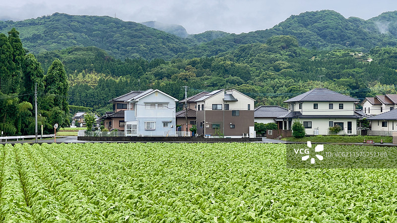 日本熊本农村的田园风光图片素材