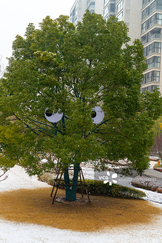 冬天园林小区景色图片素材