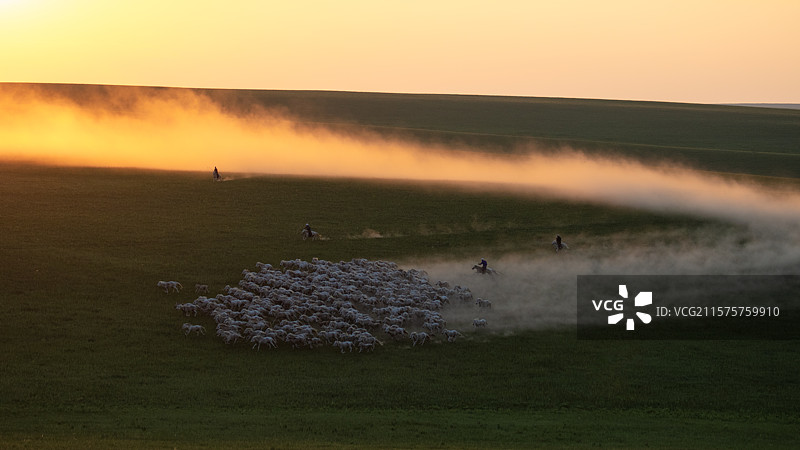骏马奔腾图片素材
