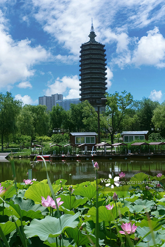 燃灯塔 游船 树木 建筑 佛教荷花 荷叶 池塘 粉荷花 白荷花 夏至 大暑 绿色图片素材